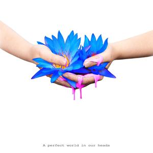 A Perfect World in Our Heads