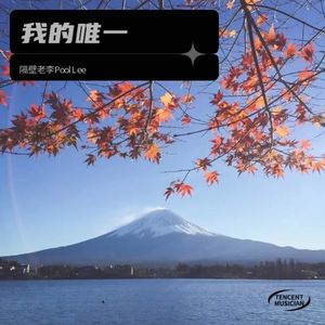 我的唯一