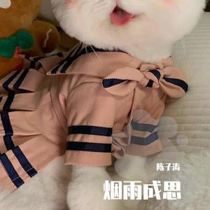 清空（是我爱的太蠢太过天真）