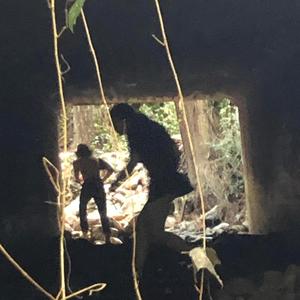 Red Blue Pink Purple