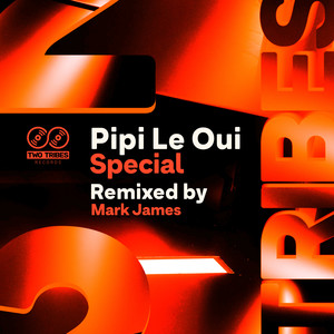Special (Instrumental Mix)