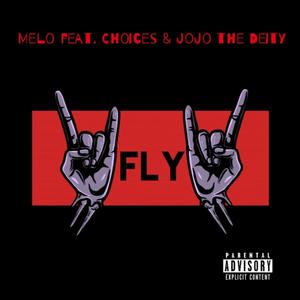 FLY (Explicit)