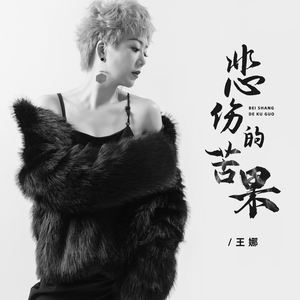 王娜《悲伤的苦果》[MP3_LRC]_MP3免费下载