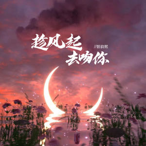 趁风起，去吻你