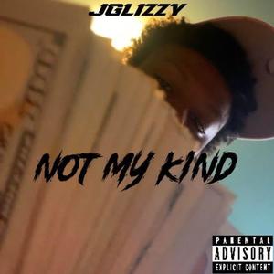 Not My Kind (Explicit)