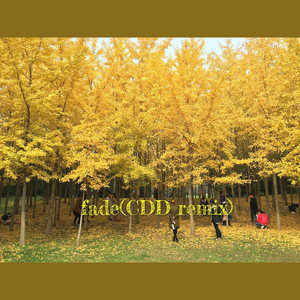 fade (CDD remix)
