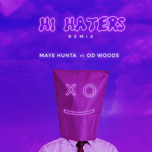 Hi Haters (Remix)