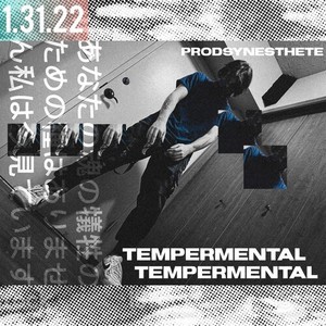 Tempermental (Explicit)
