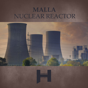 Nuclear Reactor