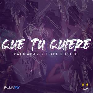 Que Tu Quiere (feat. CoTo No Parking) (Explicit)