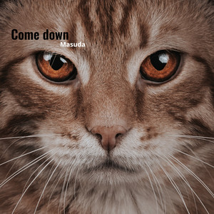 Come Down (Explicit)
