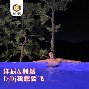DjDj我想要飞 (DJ版)