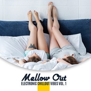 Mellow Out: Electronic Chillout Vibes vol. 1