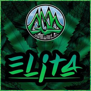 Rym Cym Cym (feat. 7x7x7) (STR3ZZ Remix|Explicit)