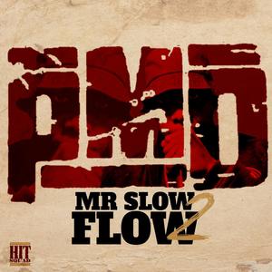 Mr. Slow Flow 2 (Explicit)