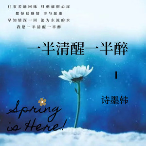 一半清醒一半醉 (DJ版)