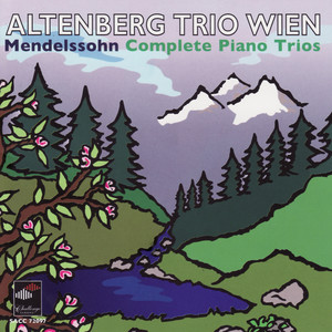 Trio For Piano, Violin And Violoncello No.1 In D Minor, Op. 49. - Molto Allegro Agitato