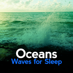 Ocean Waves with Birds