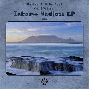 Inkomo Yedlozi (Echo Deep Remix)