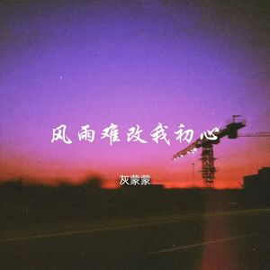 你离开的事实 (氛围版)