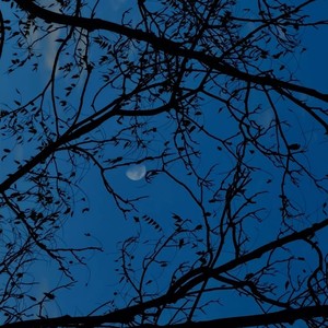 是我不够好-DJ.SmartD