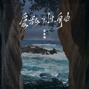 爱敌不过自由 (0.8x) - 苏星婕封面