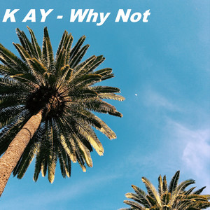 Why Not (Explicit)