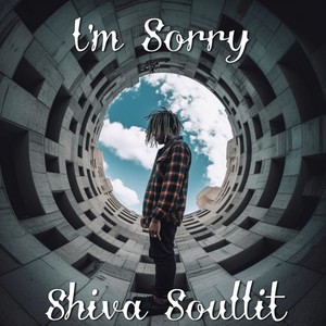 I'm Sorry (Explicit)