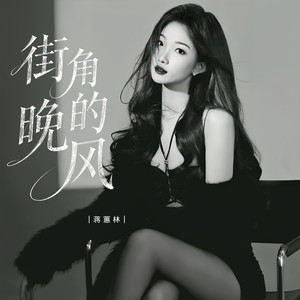 街角的晚风-蒋蕙林