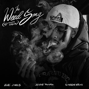 The **** Song (420 Acoustic Version)