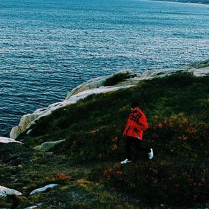 Dumb, Rich & Wasted (Explicit)