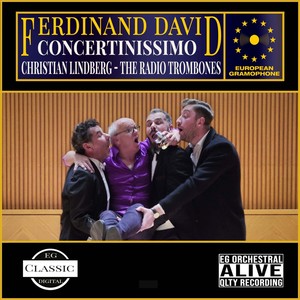 David - Concertinissimo II