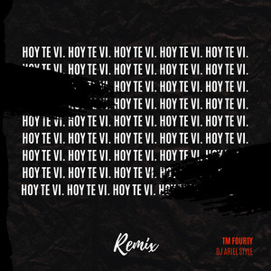 Hoy Te Vi (Remix)