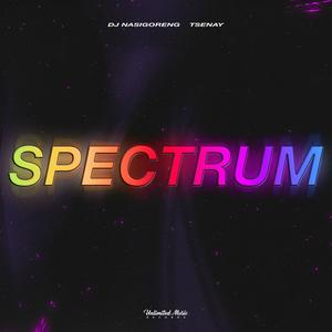 Spectrum (Say My Name)