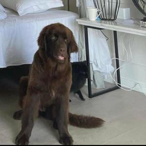 Instamash(feat. Kai Waves) (Explicit)