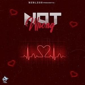 Not Wrong (Explicit)