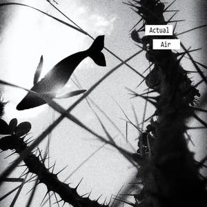 3 AM Bad Wifi(feat. Feefa Twelf & Fae) (Explicit)