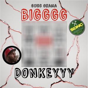 Big Donkey (Explicit)