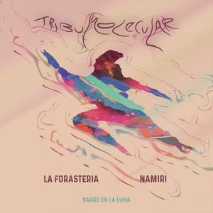 Barro En La Luna (Namiri Remix)