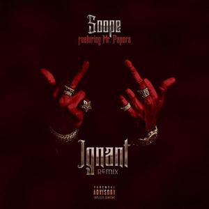 Ignant (feat. Mr Papers) (Explicit)