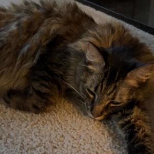 i hope that you love me