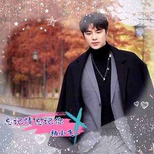 忘记情忘记你 (伴奏)