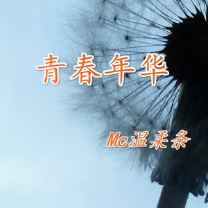 MC温柔条 - 另类雇佣兵