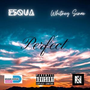 Perfect (feat. Whitney Sinae)