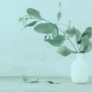 Jah Lead My Way (feat. Vital Don & Orion Major)