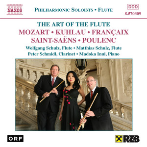 Sonata for 2 Pianos in D Major, K. 448 (arr. E. Weinzierl for 2 flutes and piano) - III. Molto allegro