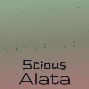 Scious Alata