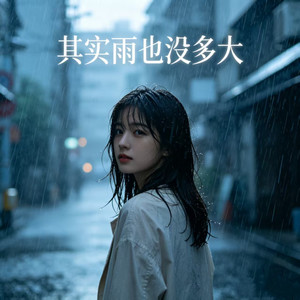 其实雨也没多大 (微醺DJ女版)