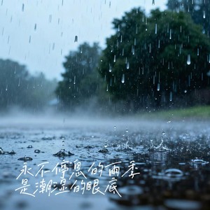 永不停息的雨季是潮湿的眼底