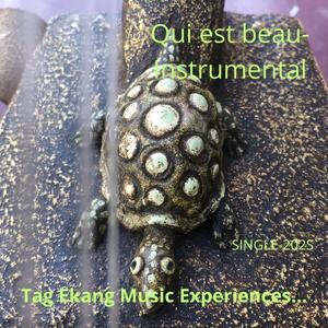 Qui est Beau-Instrumental